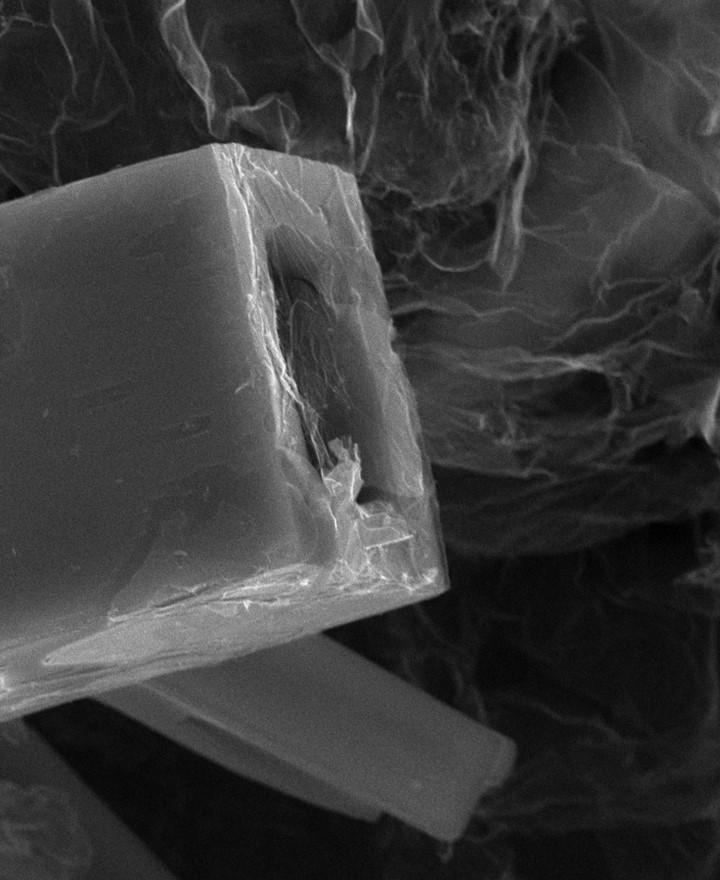 Trendy Pants and Shoes