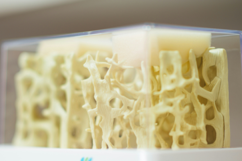 Bioengineered material