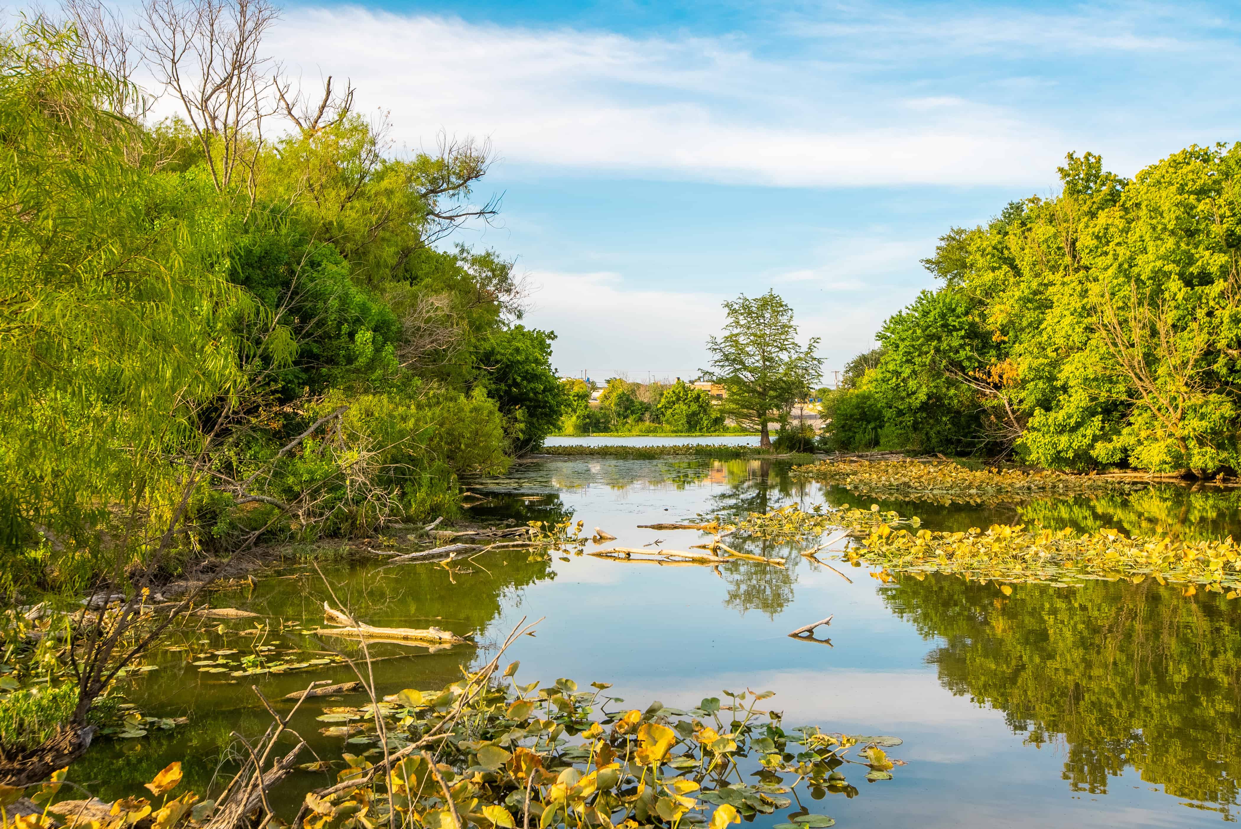 Kerr County, Kerrville, TX | X15887924 | West and Swope Ranches