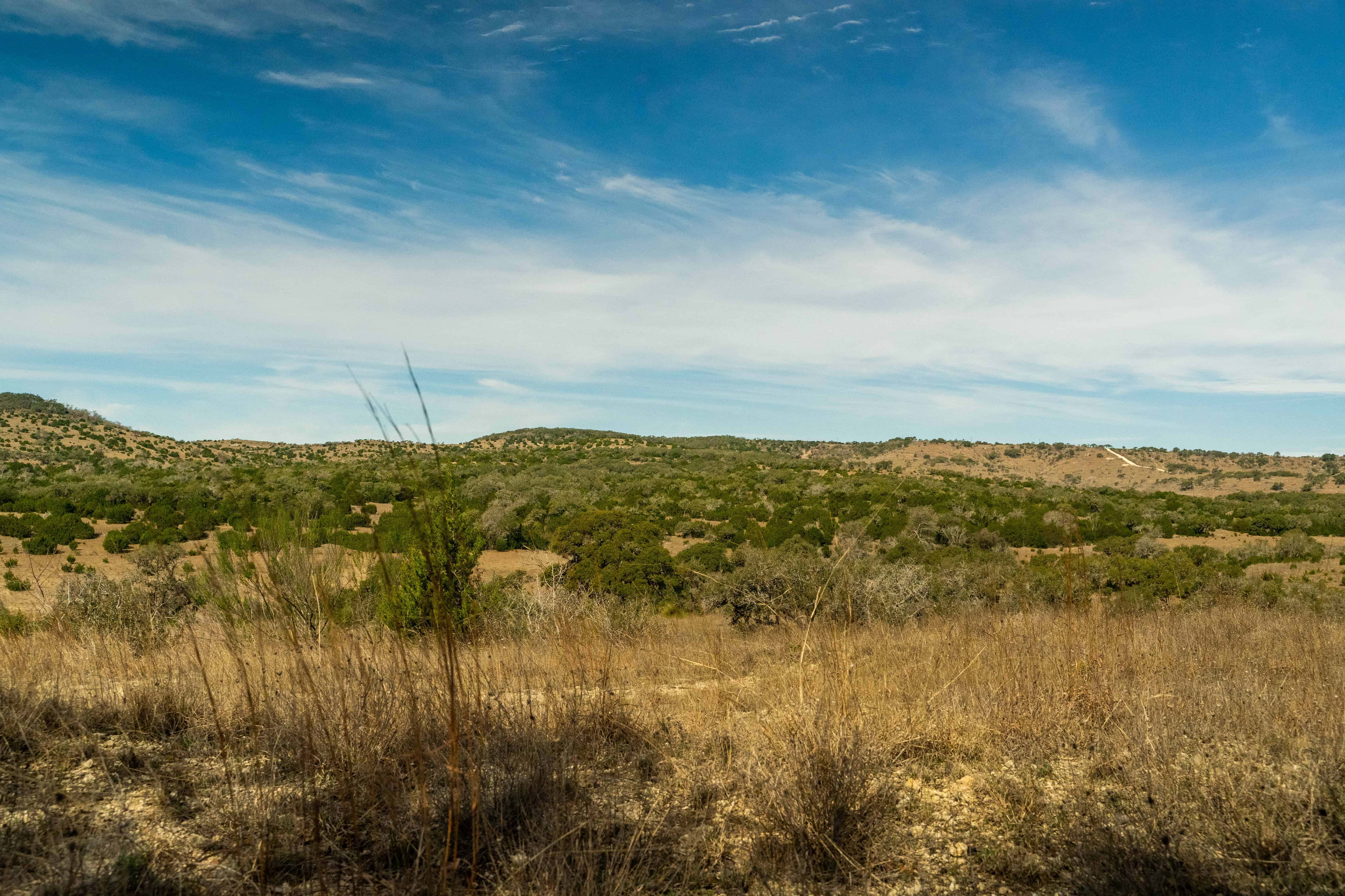 Kendall County, Kendalia, TX X52910560 West and Swope Ranches