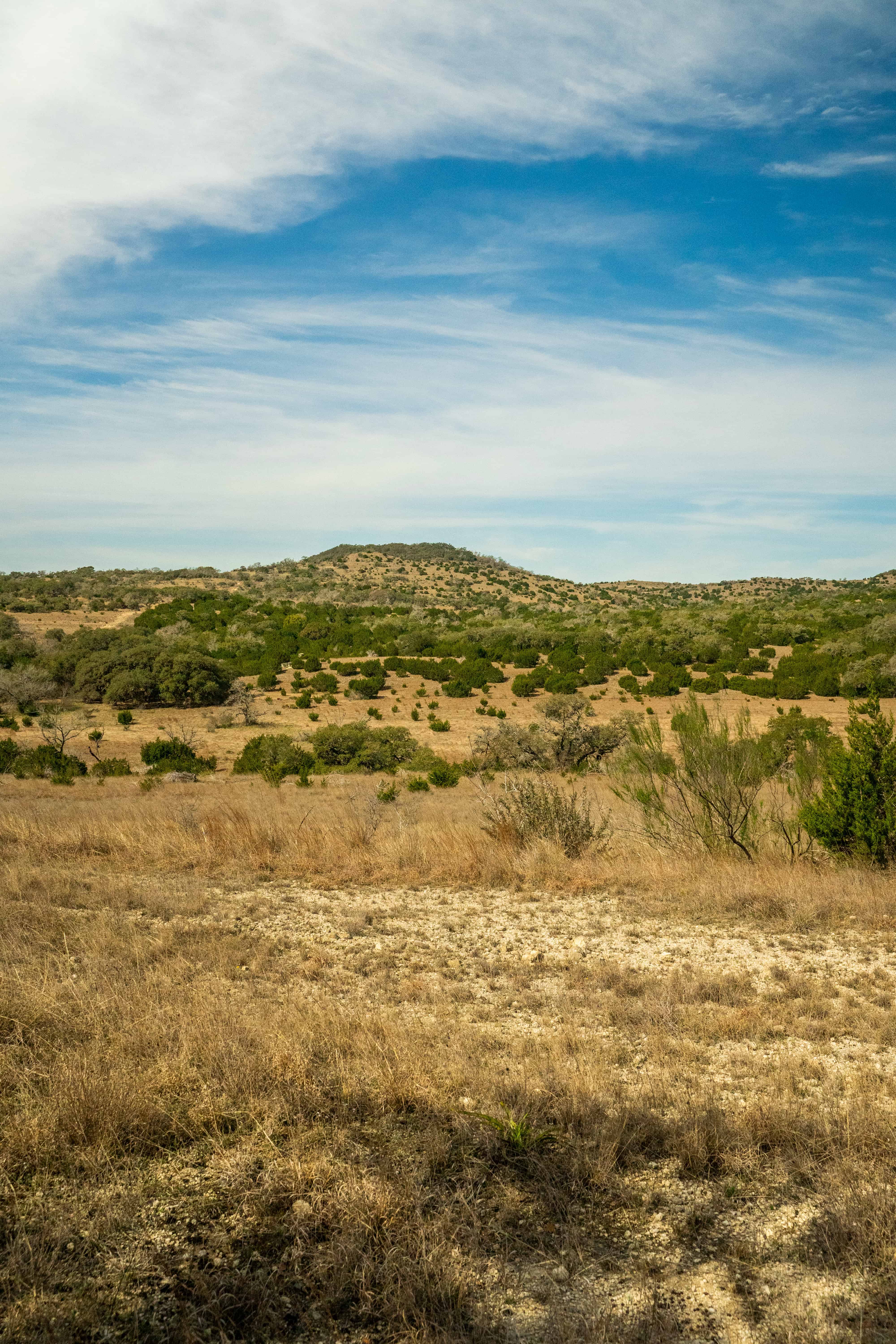 Kendall County, Kendalia, TX X52910560 West and Swope Ranches