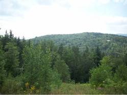 Our Listings Under $400K