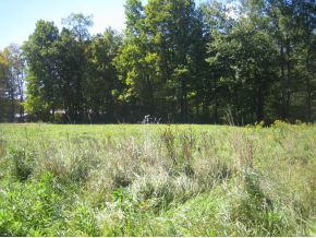 Land under 10 Acres