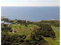 Luxury Properties