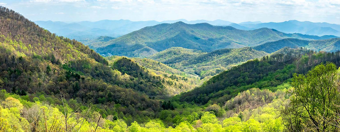 THE SALVATION ARMY OF THE TRIAD Image