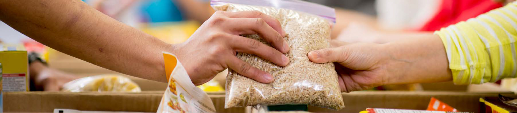 FIGHTING HUNGER AND FOOD INSECURITY Image