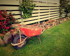 old-garden-wheelbarrow-1332327