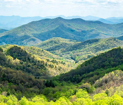 THE SALVATION ARMY OF THE TRIAD Image