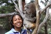 Moulton-Levy-koala
