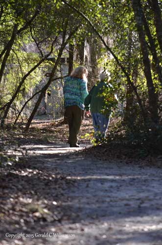 Walkway to the bathhouse at Mike Roess Gold Head Branch State Park