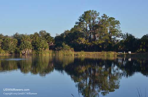 Lake Osprey at Oscar Scherer State Park in Florida