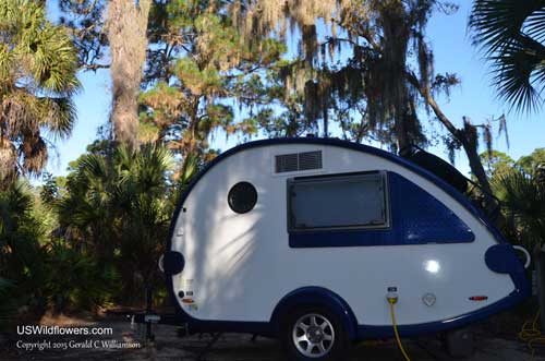 T@b at Oscar Scherer State Park in Florida