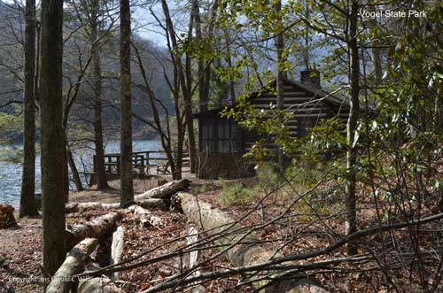 Rental Cabin 35 on Lake Trahlyta at Vogel State Park