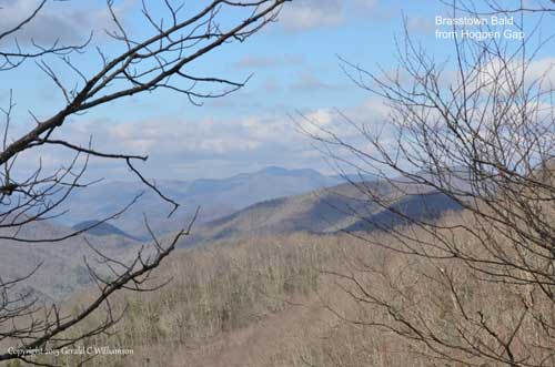 Brasstown Bald from Hogpen Gap