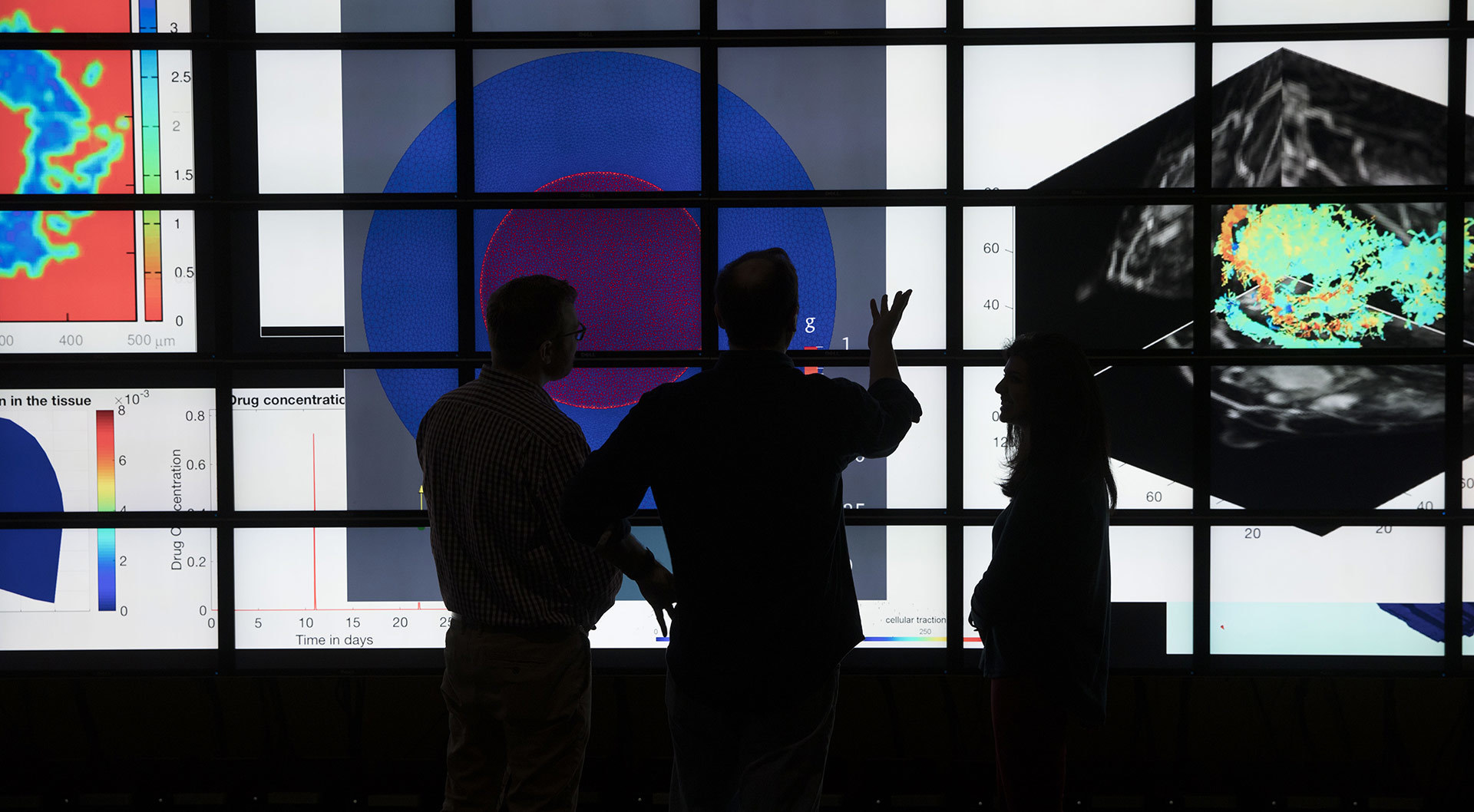 Researchers in a visualization lab.