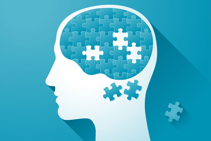 Brain