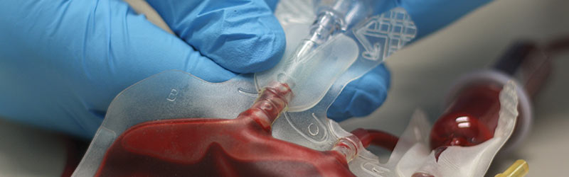 Nurse drawing blood from patient
