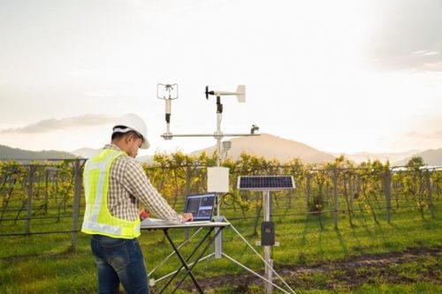 An agricultural engineer in an orchard uses a tablet to collect data from a meteorological instrument.