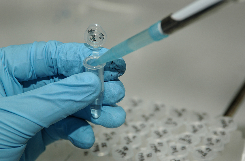 What Is Preventive Healthcare