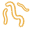 Infectious diseases icon