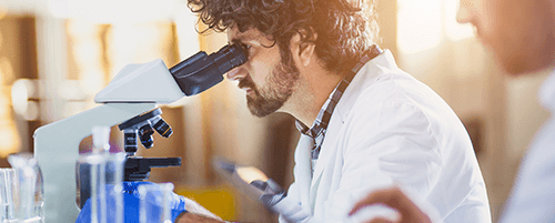 online-master-of-public-health-mph-regis-college-online