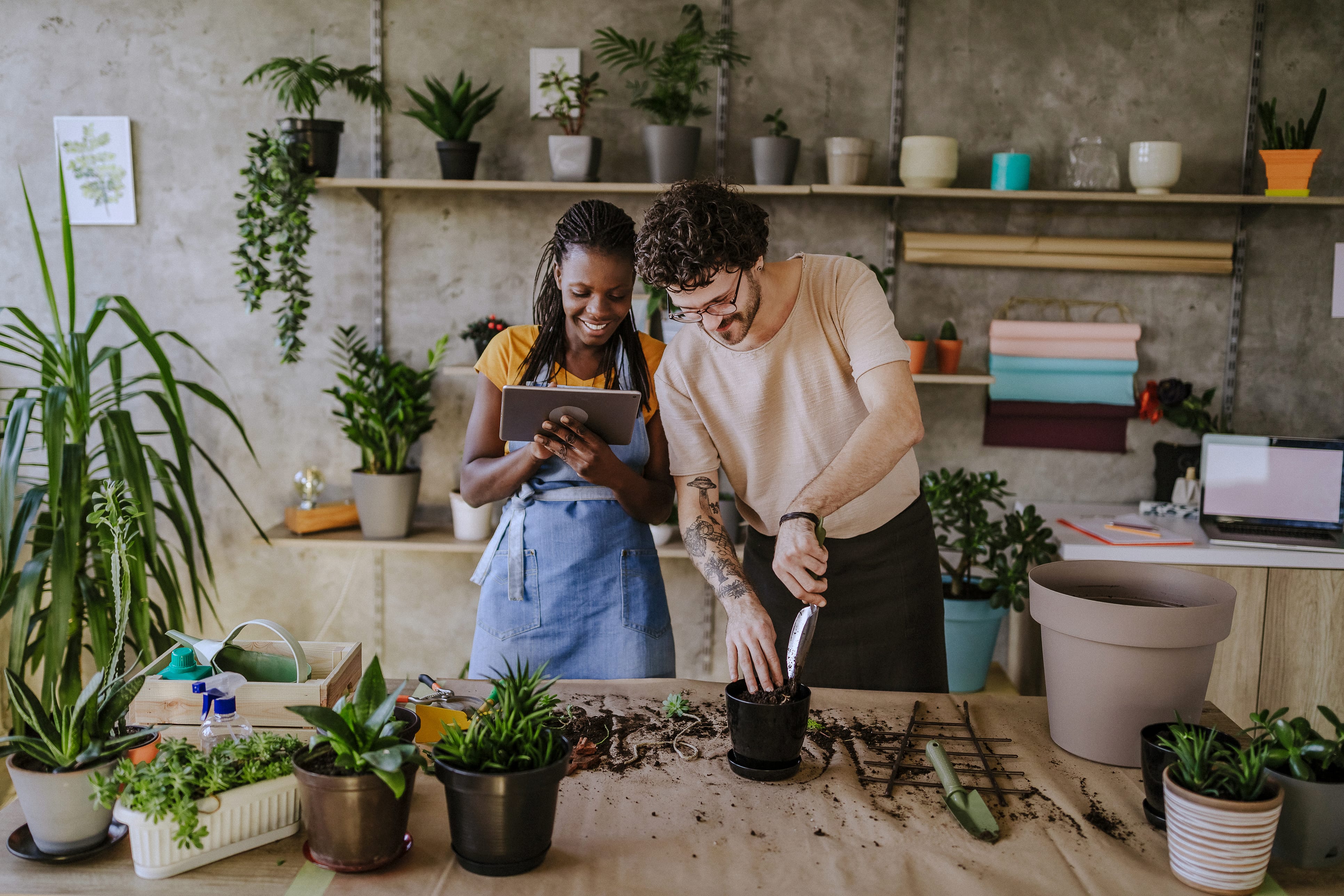 Entrepreneur and Florist employee Using Digital Tablet