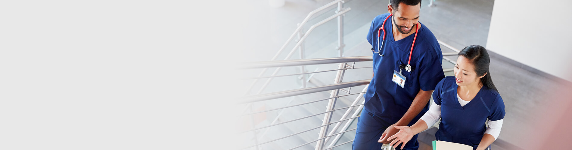 Your path to a career as a family nurse practitioner | Northeastern  University