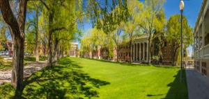 Picture of UNR campus