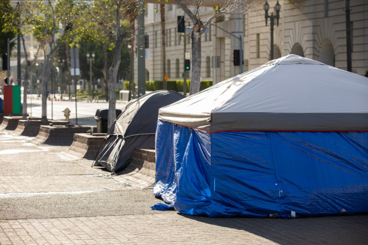 Homelessness In America Statistics Resources And Organizations 