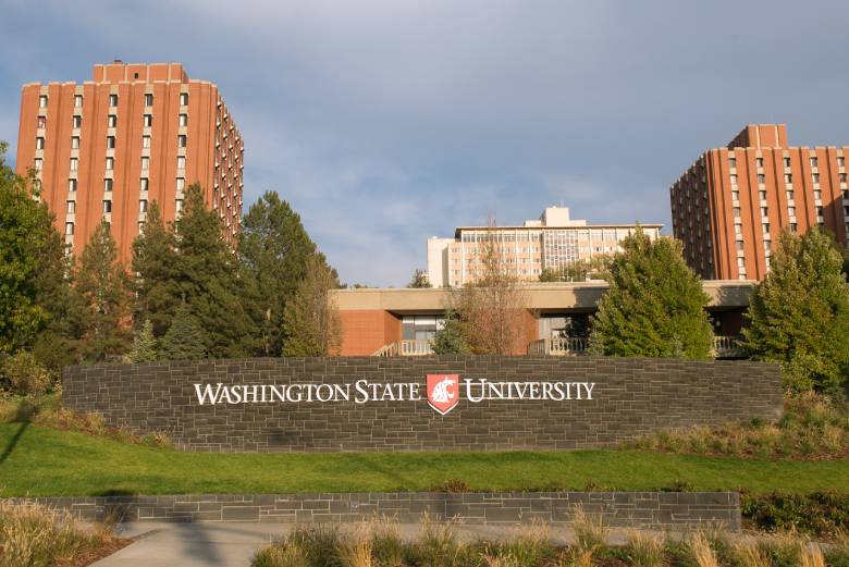 WSU Online MBA Fall 2020 Information Session WSU Online MBA