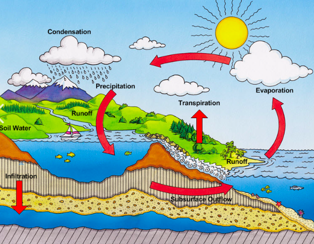 7-water-cycle.png