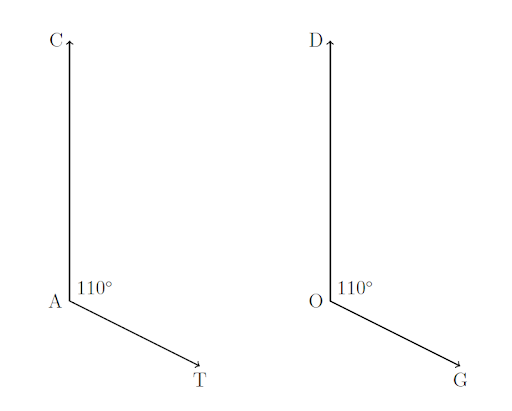 26-congruent-angles.png