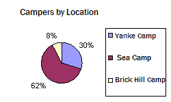 pie-chart.-p-n-g