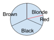 visual-23.jpg