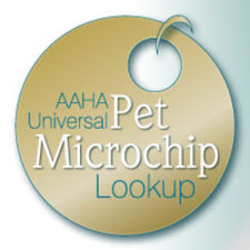 Microchip