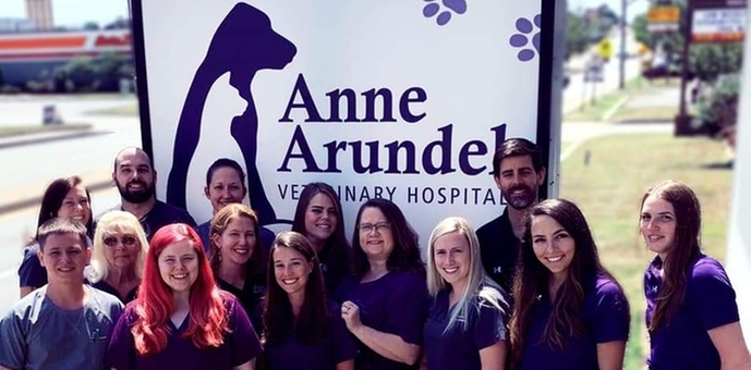 anne arundel vet