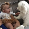 dog, canine, baby, animal clinic, paradise,