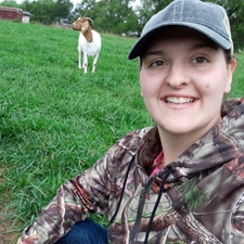 hannah pollard goat