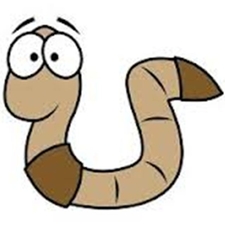 Intestinal parasites,hookworms,roundworms,whipworm