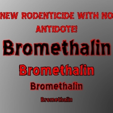 Bromethalin, Rat Poison, Sick Pets, Poison