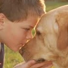 boy and dog