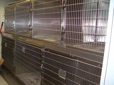cages for boarding animals