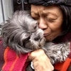 Microchip your pet for safe recovery,Smith Vet NM