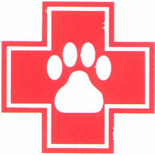 Emergency Logo