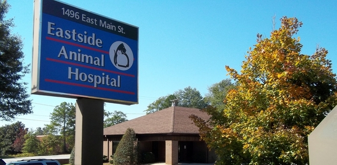 Eastside Animal Hospital
