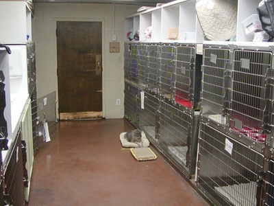 Boarding Ward with storage areas and Porky
