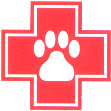 emergency contact information