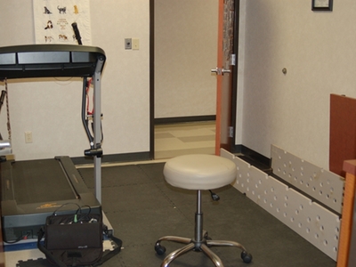 Rehabilitation Area