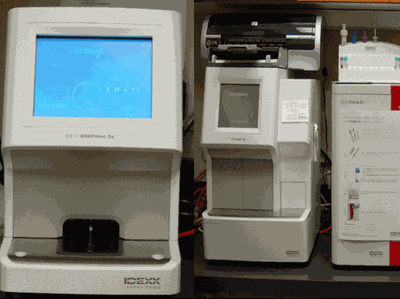 Blood Testing