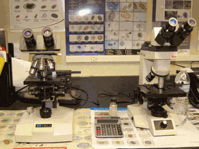 Internal Laboratory
